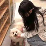 螺旋境界线b战下载